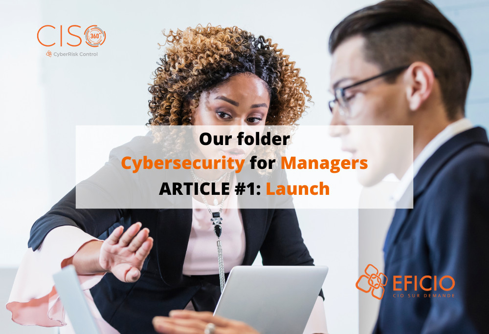 A Cyber Risk control approach based on a financial control model